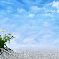 content marketing can make your tourism business resilient blog image